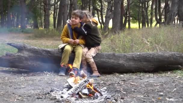 Slow Motion Children Campfire Autumn Day Nature — ストック動画