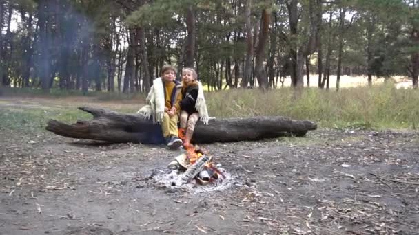 Two Cute Little Children Sitting Bonfire Forest — Stockvideo