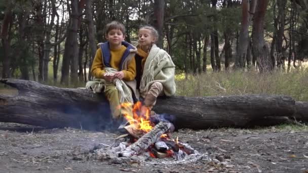Slow Motion Çocuklar Açık Havada Mutlu — Stok video