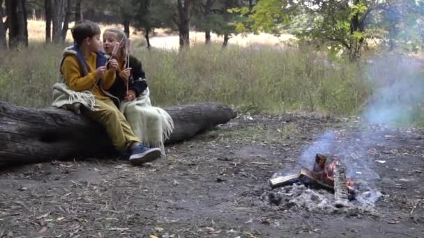Slow Motion Children Relaxing Camp Bonfire — ストック動画