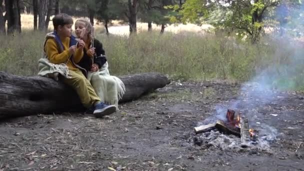 Deux Petits Enfants Garçon Fille Faisant Barbecue Sur Gril Sur — Video