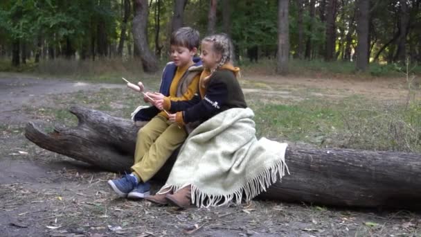 Slow Motion Two Children Boy Girl Playing Fire Natural Background — Stockvideo