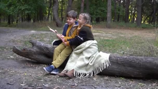 Kinder Spielen Lagerfeuer Lecker Zubereiten Zeitaufwand — Stockvideo