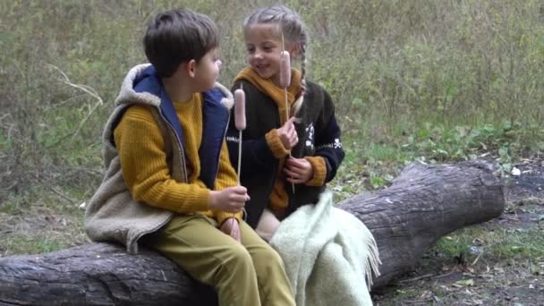 Slow Motion Fun Camping Activities Kids — Stock videók