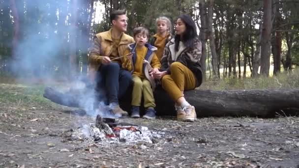 Familjer Med Barn Picknick Vedeldad Brasa — Stockvideo