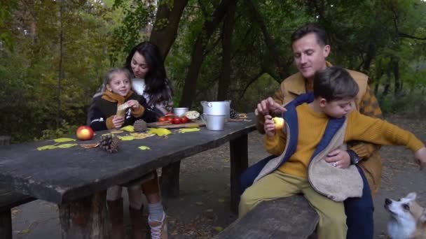 Famiglia Giovane Con Bambini Che Fanno Merenda Frutta Gita — Video Stock