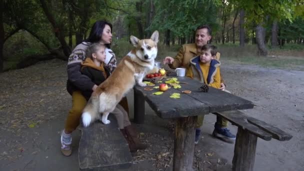 Cheerful Family Four Sit Wood Table Park Autumn Day Dog — Stock videók