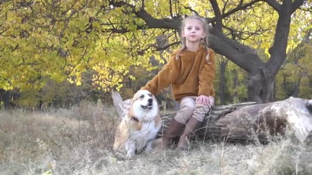 Little Girl Welsh Corgi Pembroke Dog Sitting Bench — Video Stock