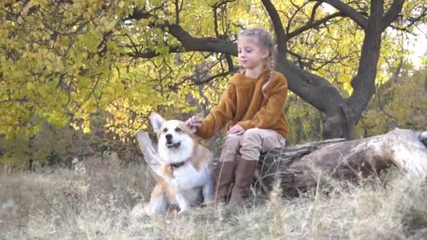 Cute Young Girl Strokes Dog Yellow Foliage Autumn — Video