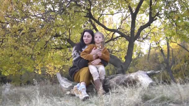 Slow Motion Little Girl Her Mother Playing Autumn Park — 图库视频影像