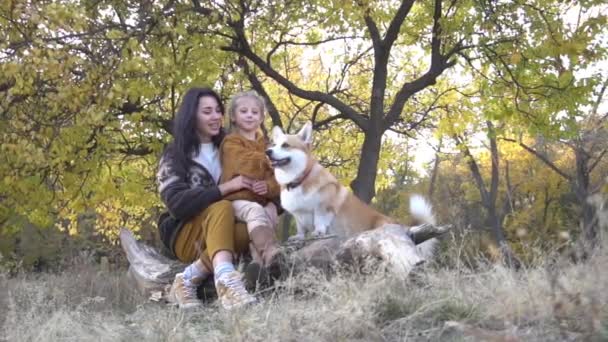 Повільний Рух Дівчат Коргі Сидить Парку Восени — стокове відео