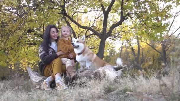 Beautiful Corgi Fluffy Green Lawn Mother Daughter — Vídeo de Stock