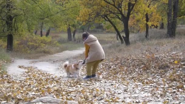Дитина Грає Розважається Собакою Під Час Прогулянки Природі — стокове відео