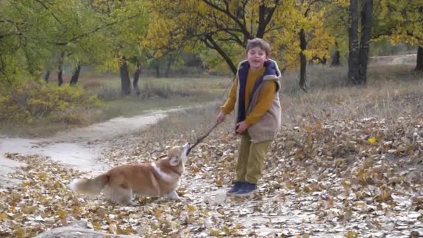 Boy His Pet Friend Autumn Background — Vídeo de stock