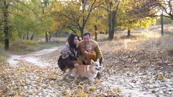 Щаслива Сім Розважається Своєю Собакою Відкритому Повітрі Лісі — стокове відео