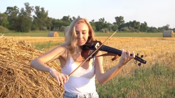 Beautiful Romantic Girl Loose Hair Playing Violin Field — Stok video