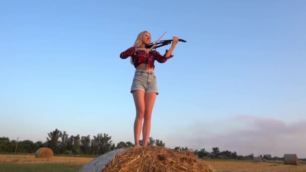Slow Motion Attractive Woman Playing Violin Field — Stok video