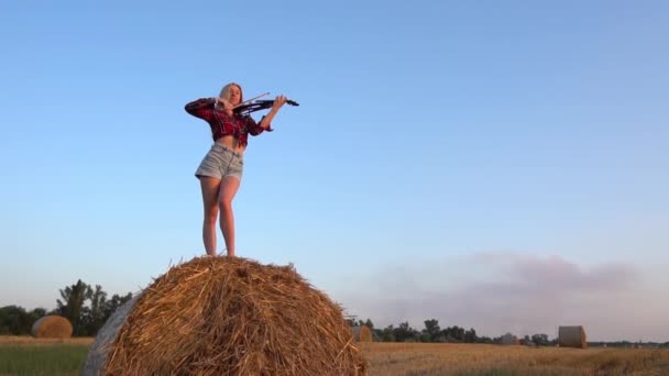Медленное Движение Красивая Молодая Женщина Стоящая Пшеничном Поле Играющая Скрипке — стоковое видео