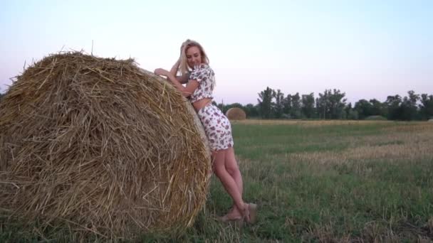 Slow Motion Woman Posing Field Haystack Flower Dress — Wideo stockowe