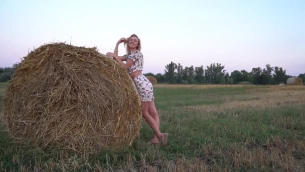 Beautiful Young Woman Floral Dress Summer Field Haystacks — Vídeo de Stock