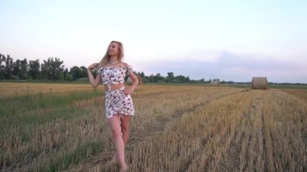 Красива Стильна Жінка Йде Літньому Вечірньому Полі — стокове відео
