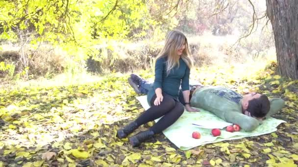 Slow Motion Picnic Cheerful Lovely Young Couple Having Rest Outdoors — ストック動画