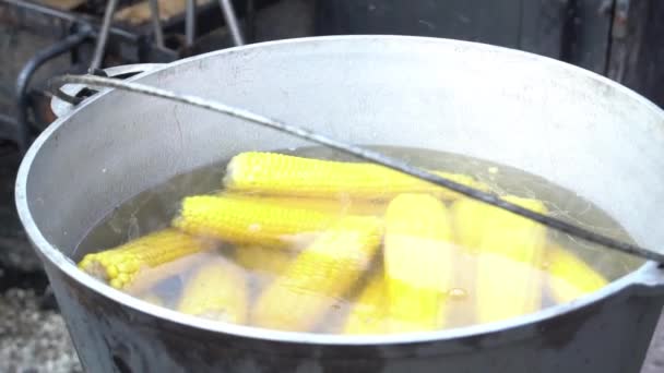 Healthy Corn Cob Stewing Boiling Hot Water — Wideo stockowe
