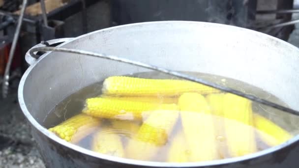 Αργή Κίνηση Γλυκό Καλαμπόκι Cobs Βράζει Ζεστό Νερό Στην Κατσαρόλα — Αρχείο Βίντεο
