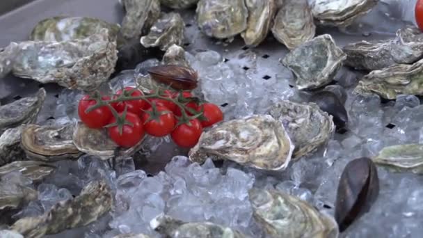 Fresh Oysters Selective Focus Close Shot — Stockvideo