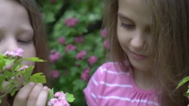 Portrait of little girl outdoor in garden smelling the flowers.