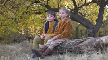 Brother and sister sitting and embracing together on the log in the autumn park