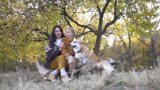 Mother Daughter Corgi Sitting Park Fall Time — Video