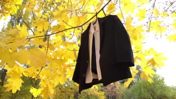 Μαύρο Κοστούμι Κρέμεται Ένα Δέντρο Του Φθινοπώρου — Αρχείο Βίντεο