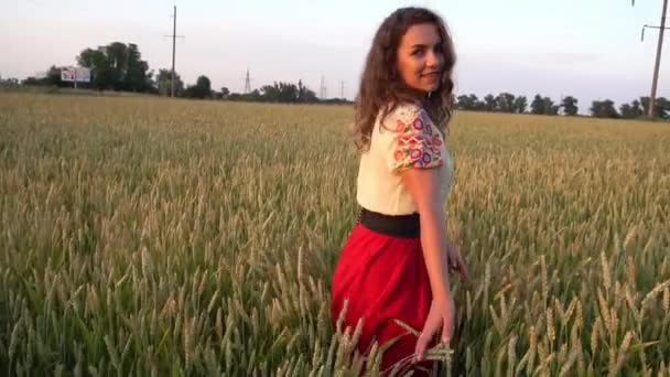 Pretty Woman Wearing Embroidered Dress Walking Golden Field — Wideo stockowe