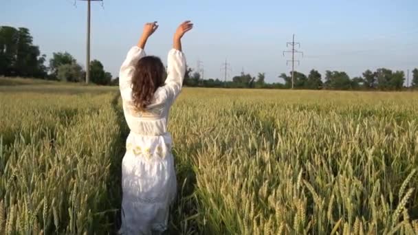 Медленное Движение Девушка Красном Платье Ходить Пшеничному Полю — стоковое видео
