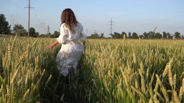 Slow Motion European Beautiful Young Girl Light Dress Walks Field — Stockvideo