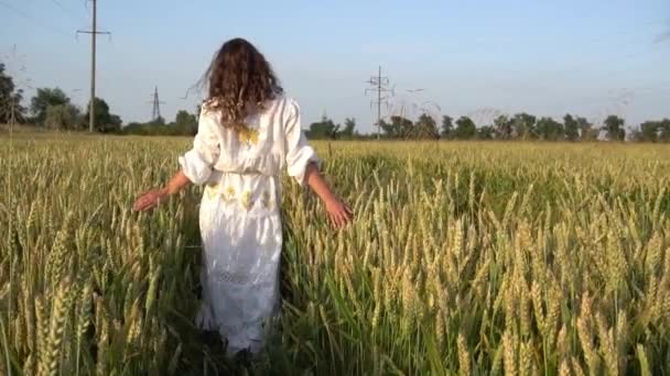 Slow Motion Attractive Woman Background Fields Wheat — Stockvideo