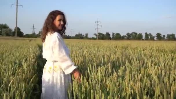 Рука Женщины Касается Пшеничных Ушей Закате — стоковое видео
