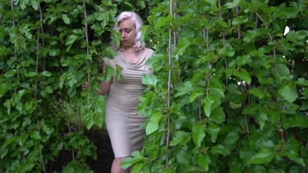 Woman Dress Posting Smiling Front Leaves Tree — Stok video