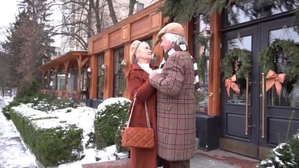 Slow Motion Cheerful Senior Couple Holding Hands Talking Park — Stockvideo