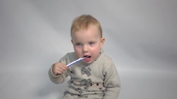 Little Child Baby Brushing Teeth Brush Face Isolated Gray — Stockvideo