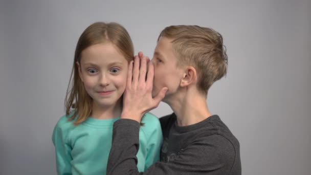 Little Girl Boy Whispering Ear Isolated Gray — Stok Video