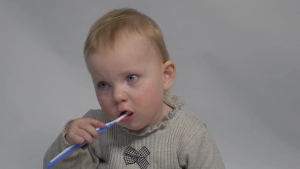 Cute Baby Toddler Brushing Teeth Isolated Gray Background — Vídeo de stock