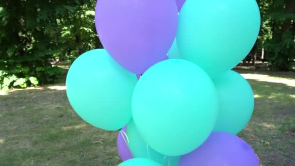 Air Ballons Summer Park Green Lawn — стоковое видео
