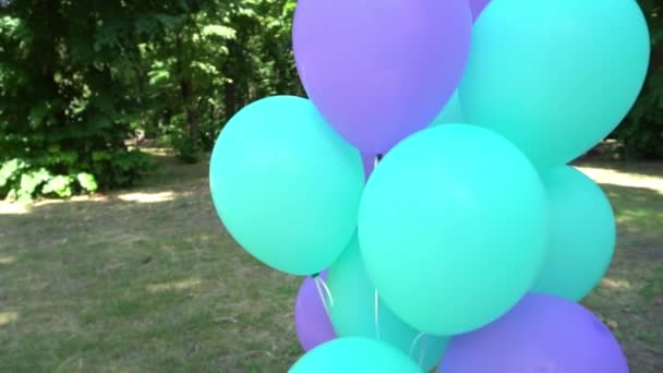 Slow Motion Blue Balloons Nature Landscape — Wideo stockowe