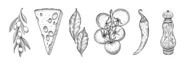 Yemek taslağı. Sebze ve baharat. Biber, defne yaprağı, peynir, chili, domates, pizza için biberiye, makarna. Klasik vektör çizimi. Beyaz arka planda elle çizilmiş bitki. Satır İtalyan yemek simgesi seti