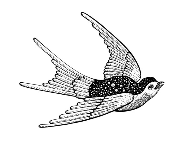 ツバメの鳥のベクトルの描画 タトゥーイラスト 手描きのアート ヴィンテージのフライトアイコン 宇宙の羽を持つ黒い空飛ぶ動物のロゴ レトロな孤立したシュールな飲み込み モダンデザイン — ストックベクタ