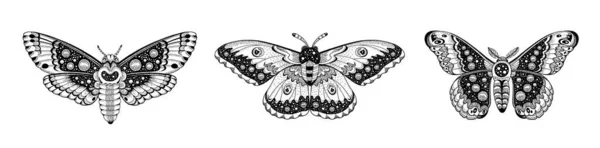 タトゥーが入ってる 蝶のベクトルブラックアート 宇宙翼の蛾 天体オカルト月のスケッチ 線画設計 — ストックベクタ