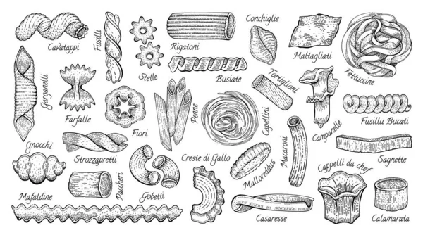 Massa Italiana Conjunto Ícone Esboço Comida Vetorial Doodle Macarrão Ilustração —  Vetores de Stock