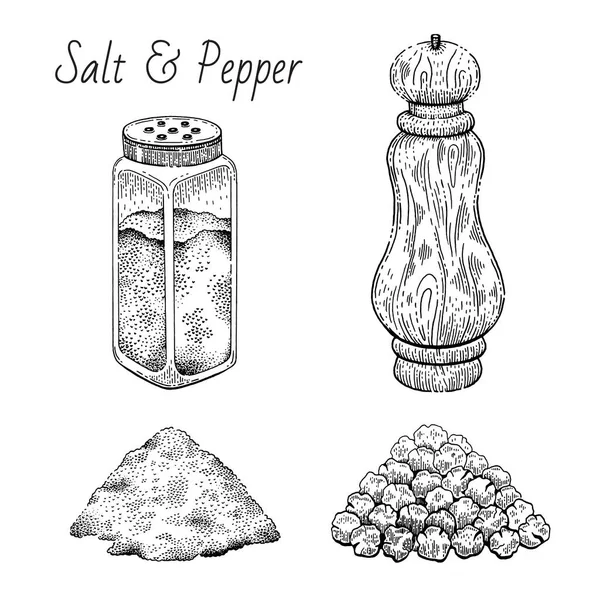 Salt Pimenta Vetor Shaker Ilustração Ícone Esboço Preto Isolado Com —  Vetores de Stock